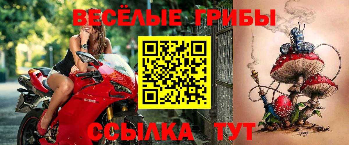 Серов  Псилоцибиновые грибы Magic Shrooms  Вход с VPN 